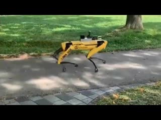 boston dynamics spot mini robot patrols singapore park-10 05 2020 news