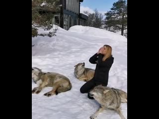 singing with the wolves