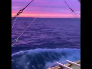 the most beautiful sunset purple sea